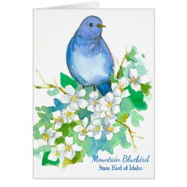 Mountain Bluebird State Vogel van Idaho Blank