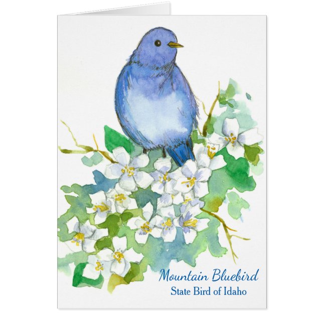Mountain Bluebird State Vogel van Idaho Blank (Voorkant)