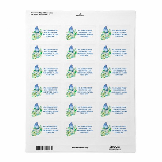 Mountain Bluebird Syringa White Waterverf Flowers Etiket (Full Sheet)