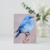"Mountain Bluebird Wildlife Series # 2 Briefkaart" Briefkaart (Staand voorkant)