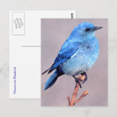 "Mountain Bluebird Wildlife Series # 2 Briefkaart" Briefkaart (Voorkant / Achterkant)