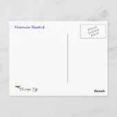 "Mountain Bluebird Wildlife Series # 2 Briefkaart" Briefkaart (Achterkant)