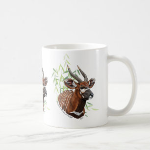 Mountain Bongo Mok