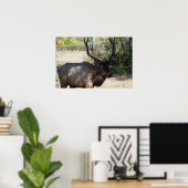 Mountain Bull Elk Photo Natuur Wall Poster Mancave (Thuiskantoor)