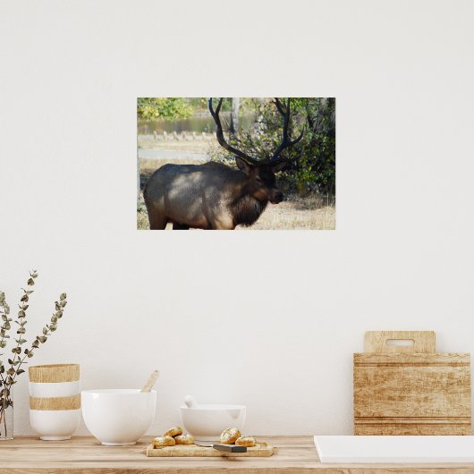 Mountain Bull Elk Photo Natuur Wall Poster Mancave (Keuken)