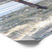 Mountain Bull Elk Photo Natuur Wall Poster Mancave (Hoek)