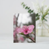 Mountain Cherry Blossom Wildflower Briefkaart (Staand voorkant)