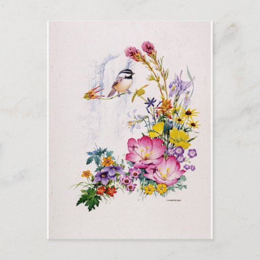 Mountain Chickadee Collage Briefkaart (Voorkant)