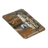 Mountain Chickadee on Feeder Magneet (Rechterzijde)