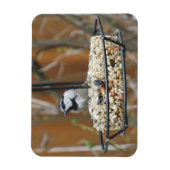 Mountain Chickadee on Feeder Magneet (Verticaal)
