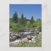 Mountain Colorado Stream Briefkaart (Voorkant)