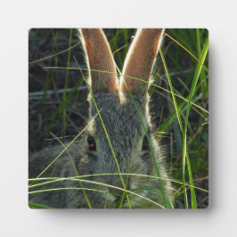 Mountain Cottontail Desktop Plaque Fotoplaat