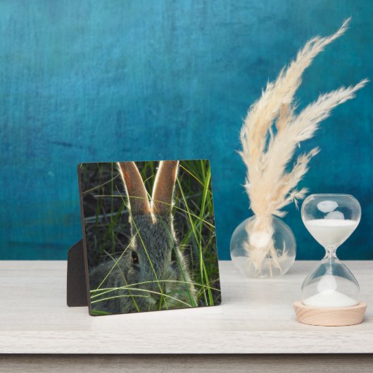 Mountain Cottontail Desktop Plaque Fotoplaat (Insitu)