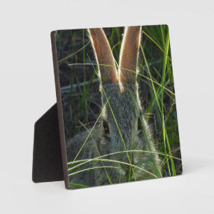 Mountain Cottontail Desktop Plaque Fotoplaat