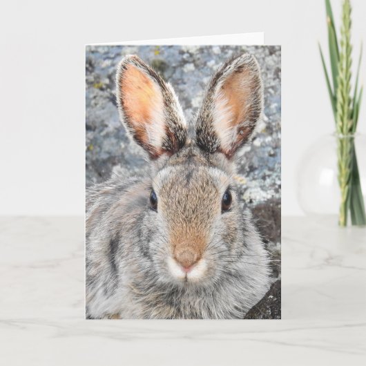 Mountain Cottontail Notecard Kaart (Voorkant)