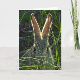 Mountain Cottontail Notecard Kaart