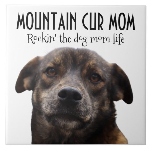 Mountain Cur Mam Ceramic Tile Tegeltje (Voorkant)