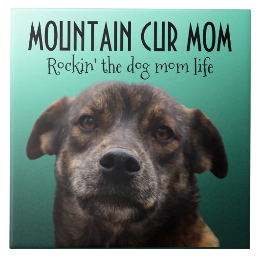 Mountain Cur Mam Ceramic Tile Tegeltje (Voorkant)