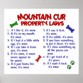 MOUNTAIN CUR PL2 POSTER (Voorkant)