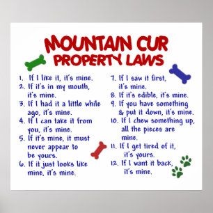 MOUNTAIN CUR PL2 POSTER