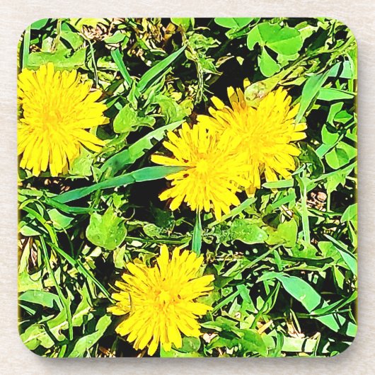 Mountain Dandelions Foto. Bestel nu Bier Onderzetter (Voorkant)