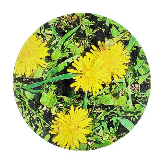 Mountain Dandelions Foto. Bestel nu Snijplank (Voorkant)