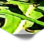 Mountain Dandelions Foto van Ottawa Canada Poster (Hoek)