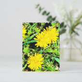 Mountain Dandelions Pic uit Spring Ottawa Canada Briefkaart (Staand voorkant)