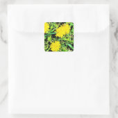 Mountain Dandelions Pic uit Spring Ottawa Canada Vierkante Sticker (Tas)