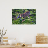 Mountain Deer en Lupine Print (Keuken)