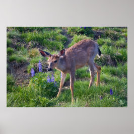 Mountain Deer en Lupine Print