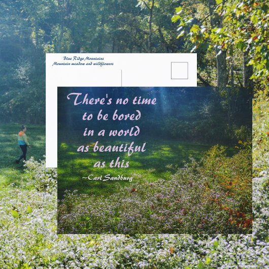 Mountain Field Blue Ridge Mountains Sandburg Quote Briefkaart