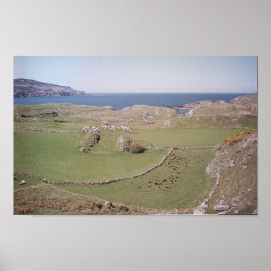 Mountain Field, West Donegal Poster (Voorkant)