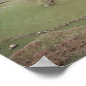 Mountain Field, West Donegal Poster (Hoek)