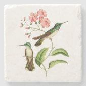Mountain Gem Hummingbird Stenen Onderzetter (Voorkant)