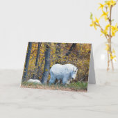 Mountain Goat birthday card looks at you. Kaart (Gele Bloem)