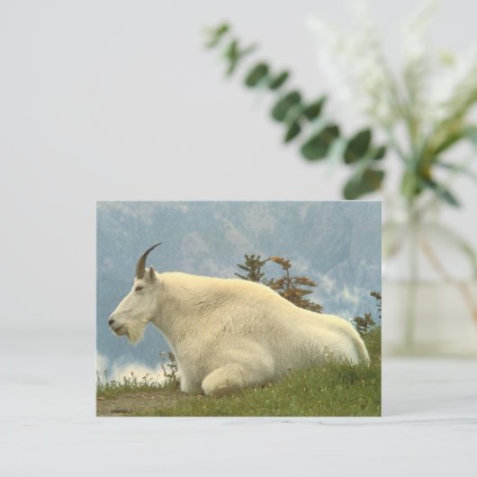 Mountain Goat Briefkaart (Staand voorkant)