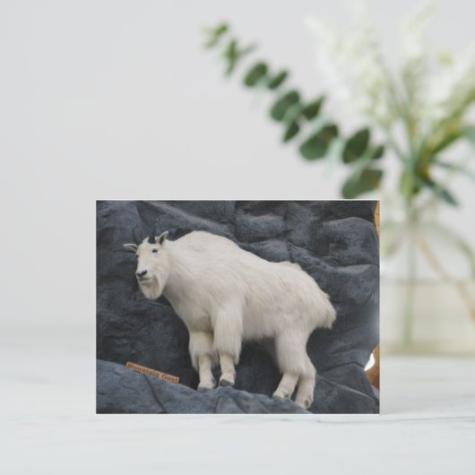 Mountain Goat Briefkaart (Staand voorkant)