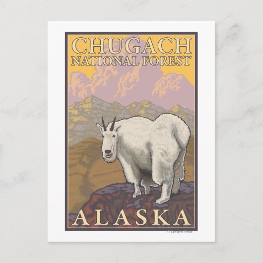 Mountain Goat - Chugach National Forest Briefkaart (Voorkant)