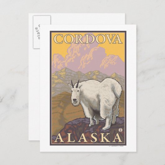 Mountain Goat - Cordova, Alaska Briefkaart (Voorkant / Achterkant)