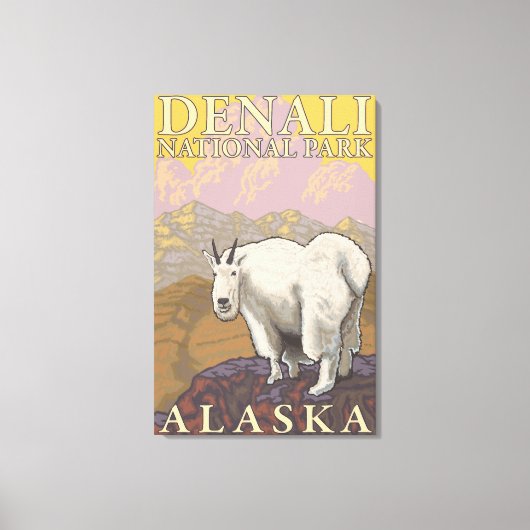 Mountain Goat - Denali National Park, Alaska Canvas Afdruk (Voorkant)