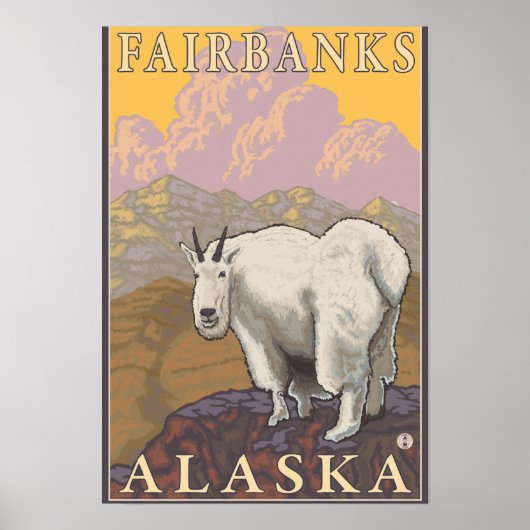 Mountain Goat - Fairbanks, Alaska Poster (Voorkant)