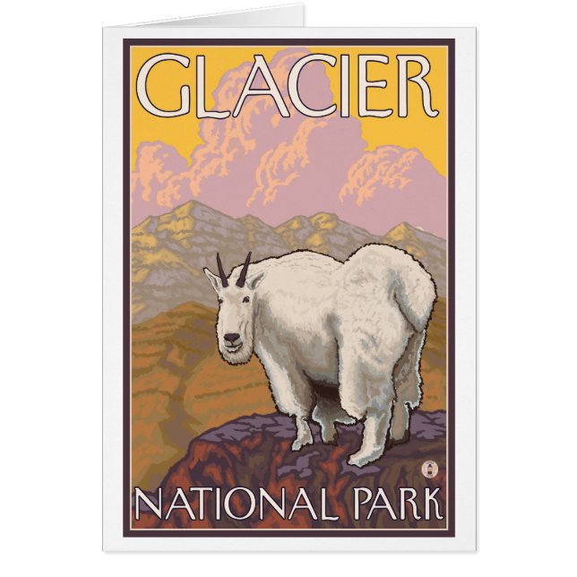 Mountain Goat - Glacier National Park, MT (Voorkant)