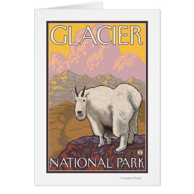 Mountain Goat - Glacier National Park, MT (Voorkant)