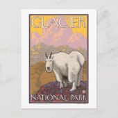 Mountain Goat - Glacier National Park, MT Briefkaart (Voorkant)