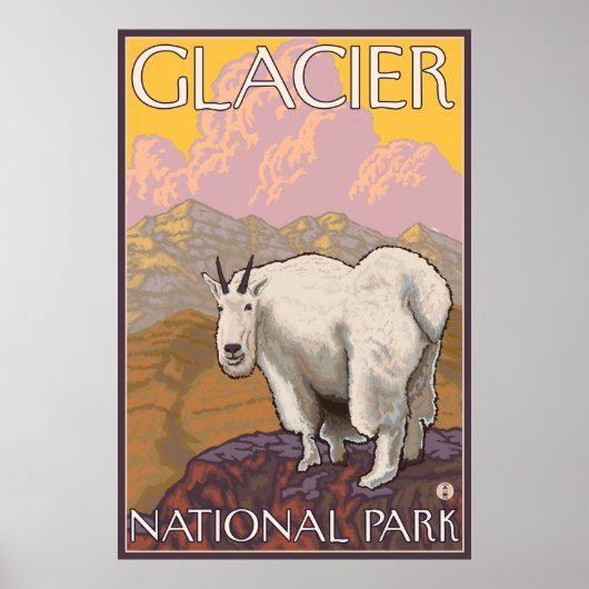 Mountain Goat - Glacier National Park, MT Poster (Voorkant)