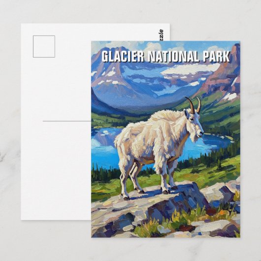 Mountain Goat in Glacier National Park Travel Briefkaart (Voorkant / Achterkant)