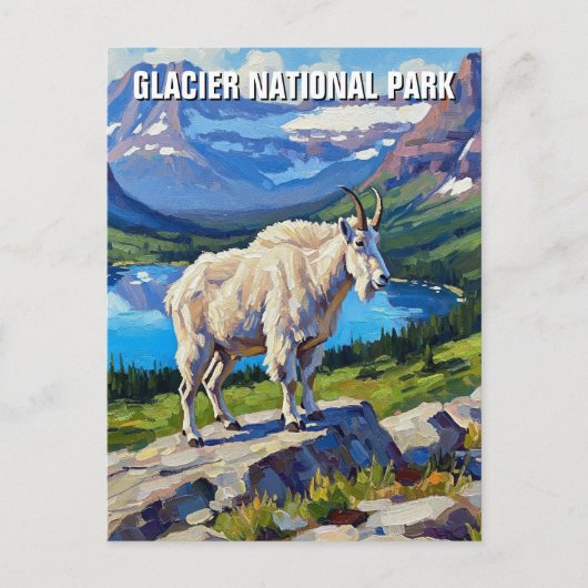Mountain Goat in Glacier National Park Travel Briefkaart (Voorkant)
