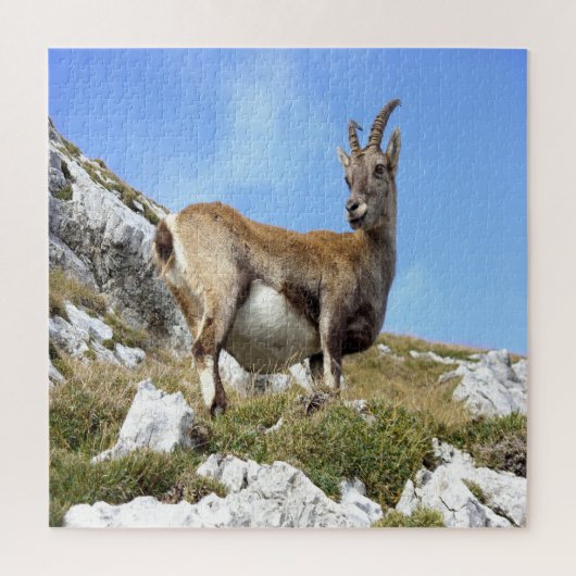 Mountain Goat Legpuzzel (Verticaal)