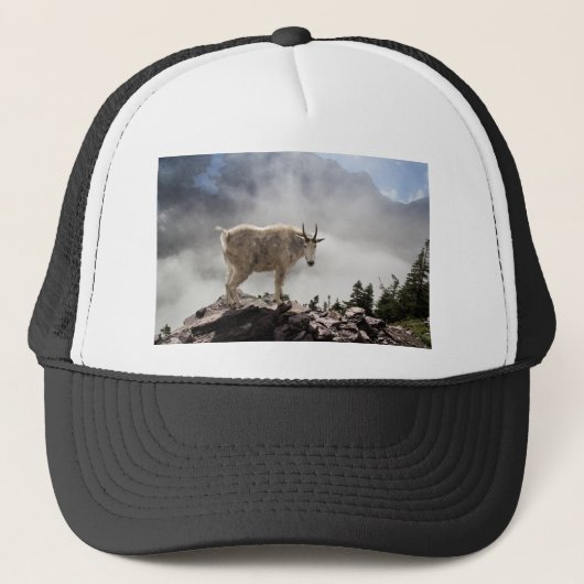 Mountain Goat on Gunsight Pass Trail Trucker Pet (Voorkant)
